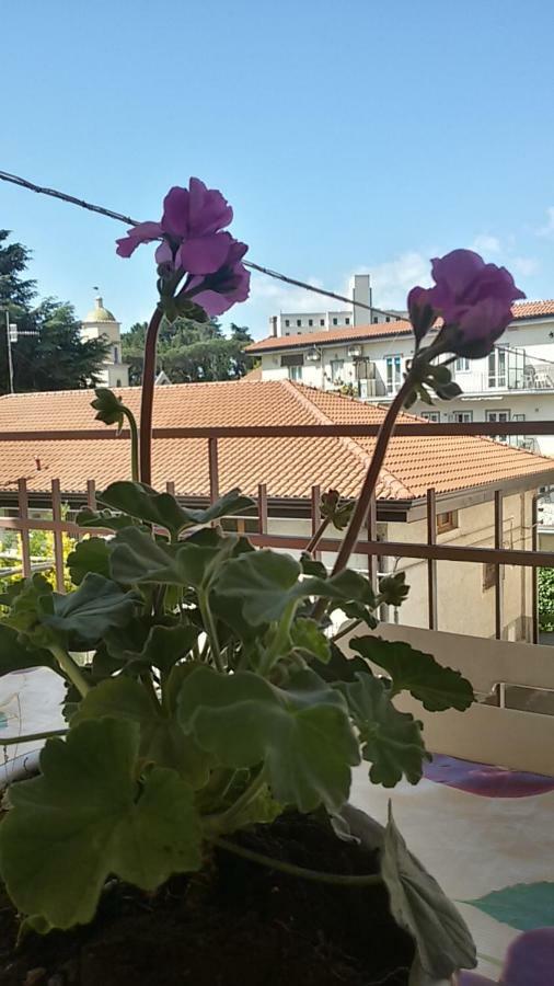 אג'רולה Casa Vacanza Xenia מראה חיצוני תמונה