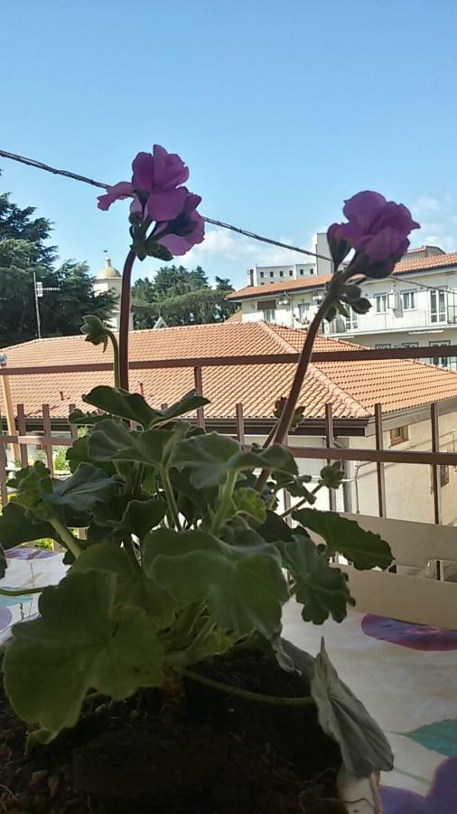 אג'רולה Casa Vacanza Xenia מראה חיצוני תמונה